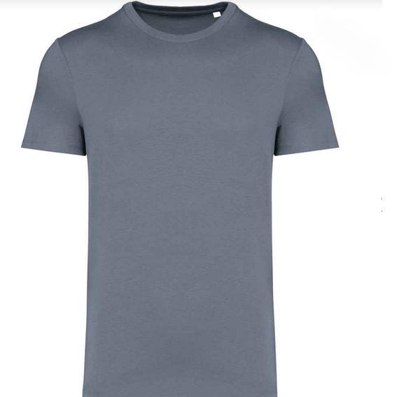 Oasis Lyric Embroidered T-Shirt – “Please don’t put your life…” | 100% Organic Cotton | Unisex | XS–5XL | Multiple Colors